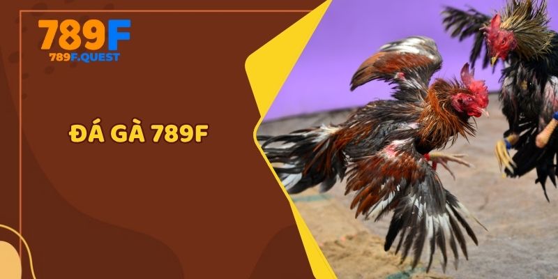 đá gà 789f