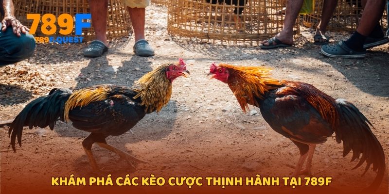 Khám phá các kèo cược thịnh hành tại 789f